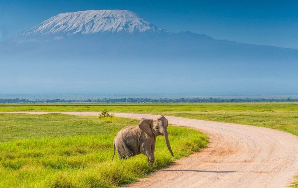 Explore Amboseli National Park