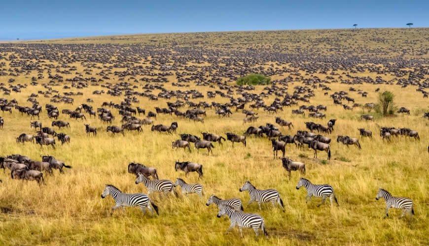 Kenya Tour Packages