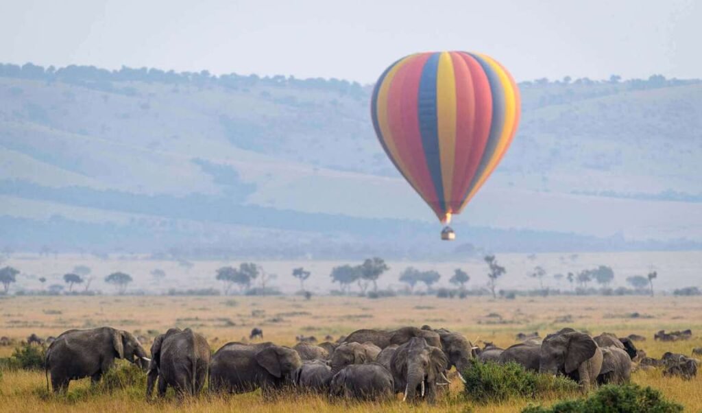 Full Day Masai Mara National Reserve