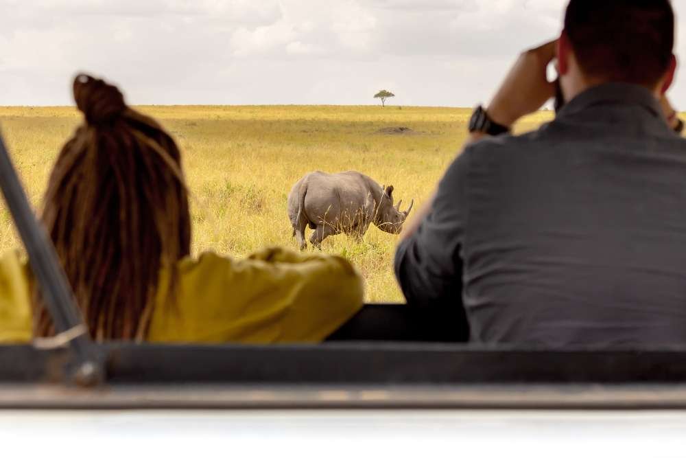 Safaris and Tours
