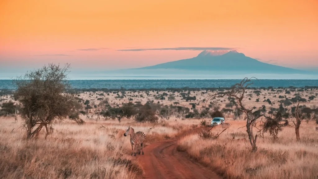 Tsavo East to Tsavo West National Park