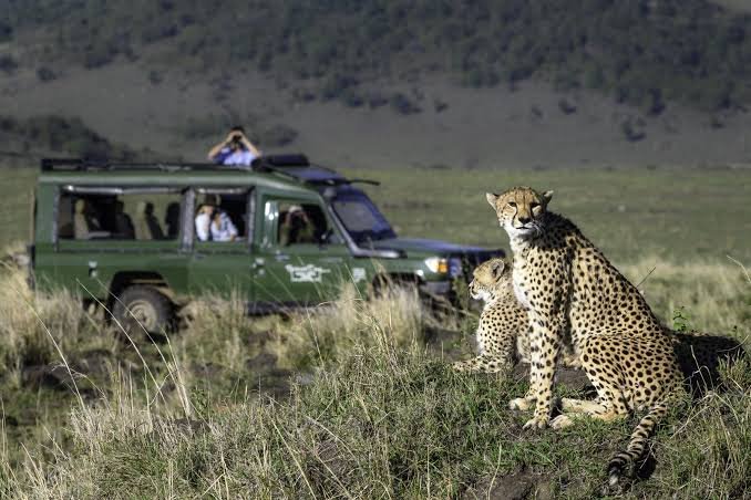 Lake Naivasha to Masai Mara National Reserve