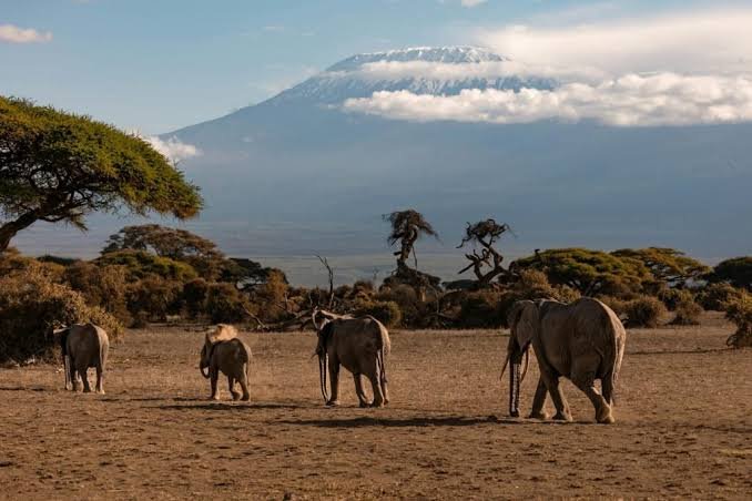 Lake Nakuru to Amboseli National Park