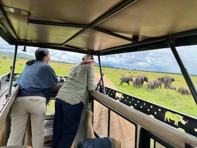 Full Day Masai Mara National Reserve
