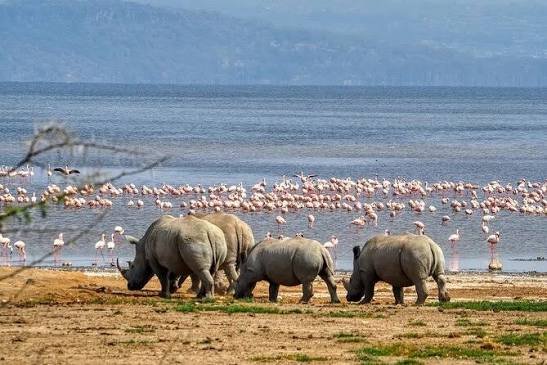 Lake Nakuru National Park