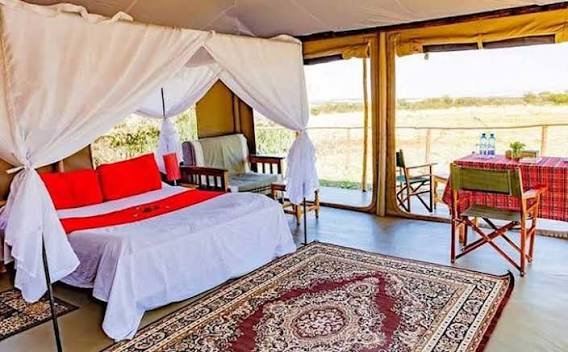 Zebra Plain Mara Camp
