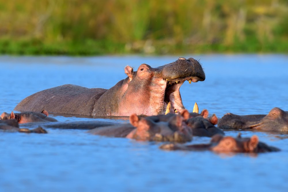 Ol Pejeta Conservancy – Lake Naivasha